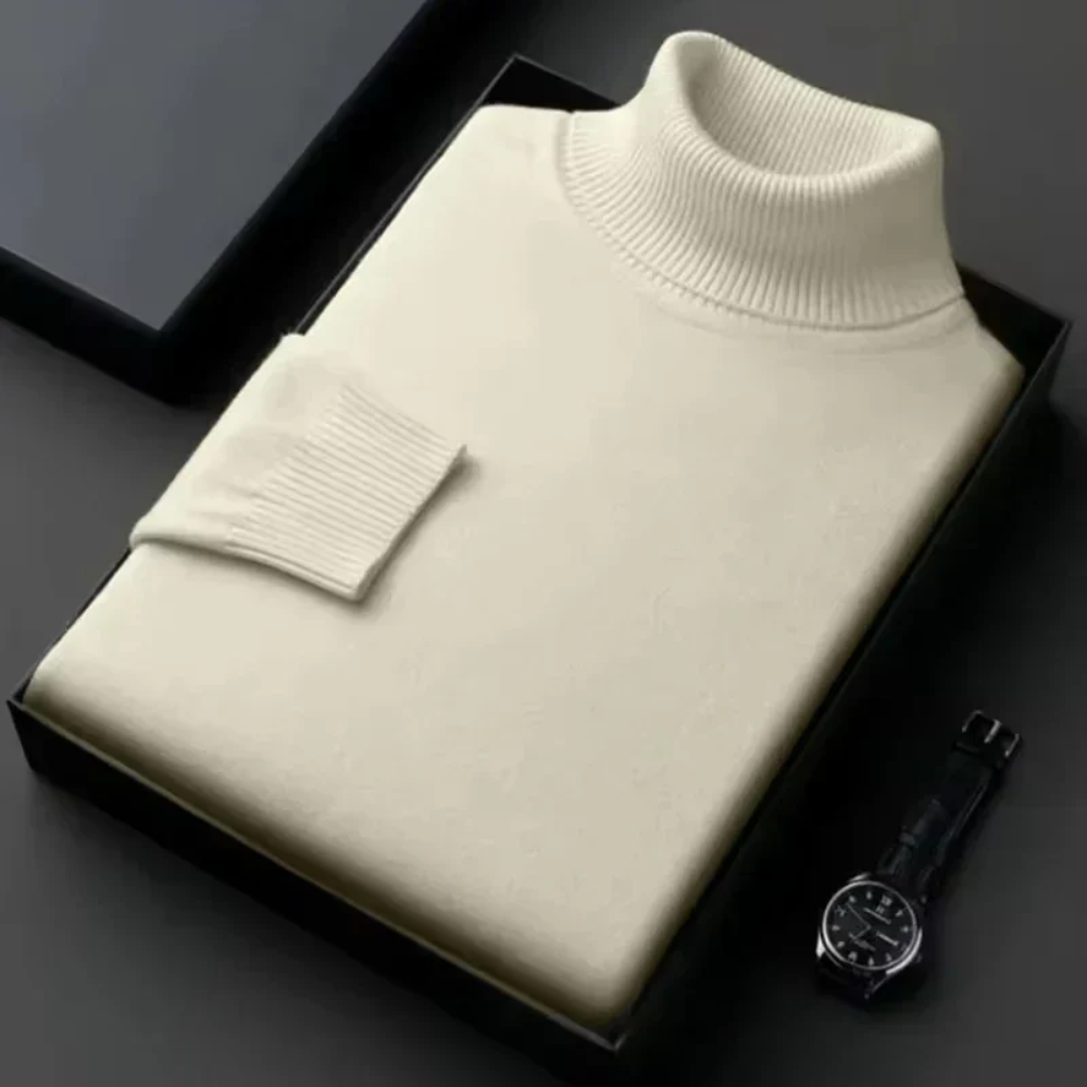Alioth Cashmere Turtleneck